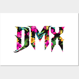 DMX Posters and Art